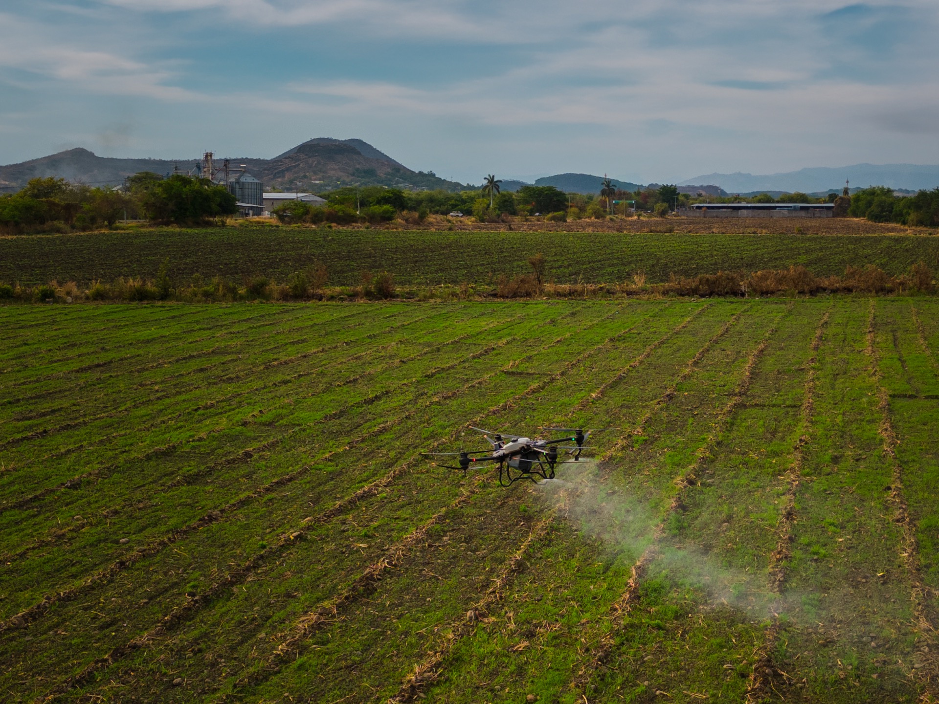 Dron agrícola aplicando insumos sobre un cultivo