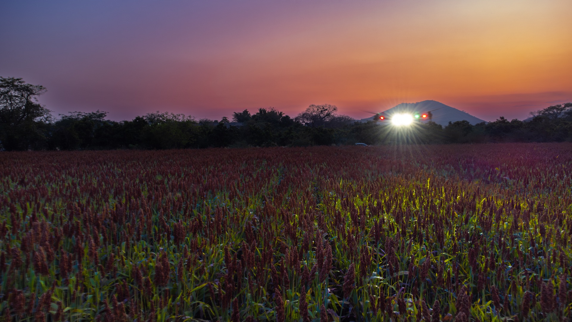 Dron agrícola en vuelo sobre un cultivo al atardecer