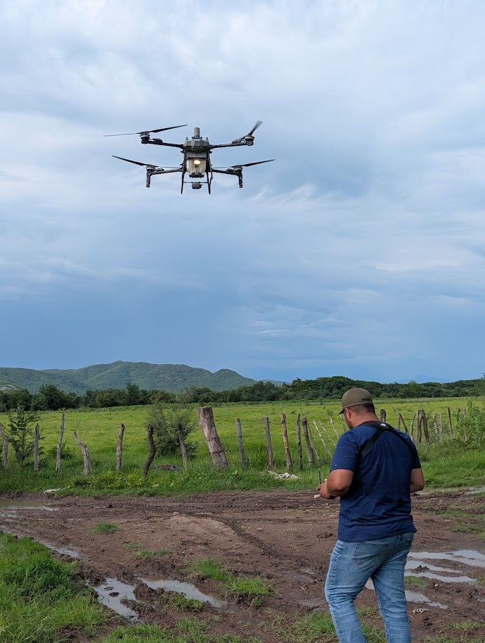 Operador supervisando el vuelo de un dron agrícola
