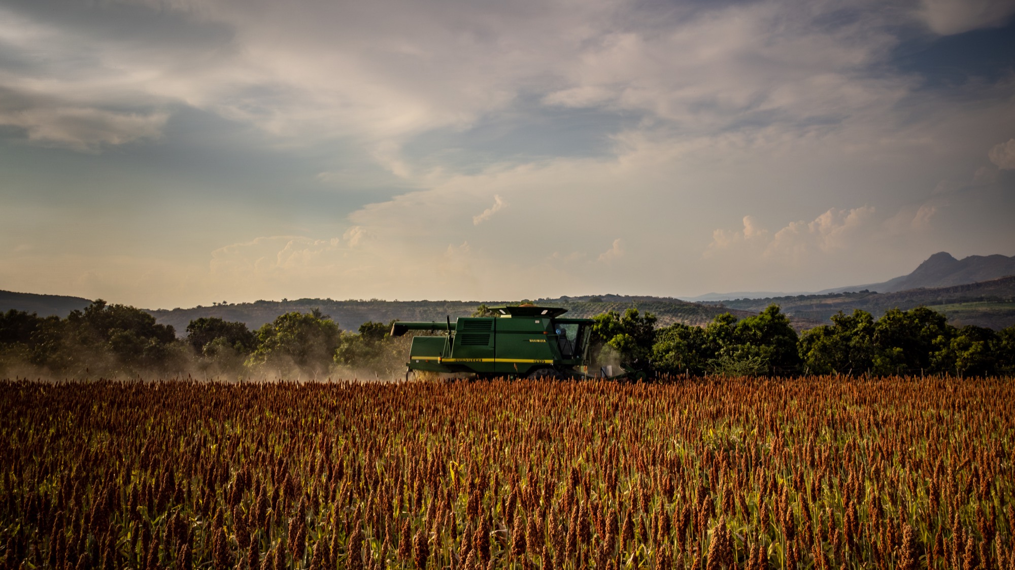 Maquinaria agrícola trabajando un cultivo de sorgo
