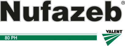 Nufazeb