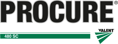 Procure 480 SC