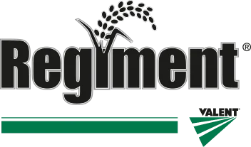 Regiment